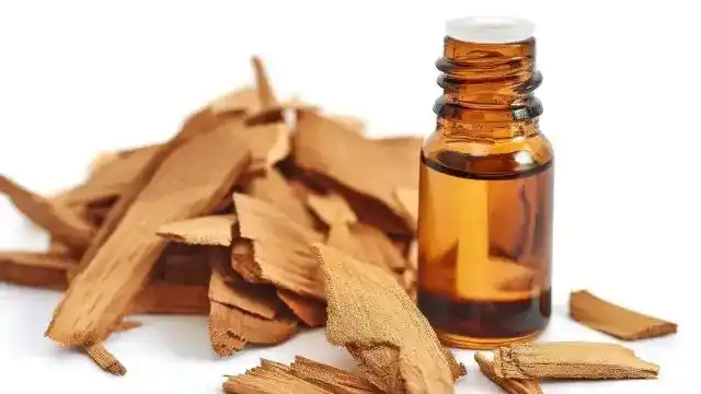Amyris vs Sandalwood Essential Oil: Differences, Benefits, and Best Uses