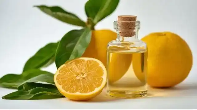 Bergamot Essential Oil