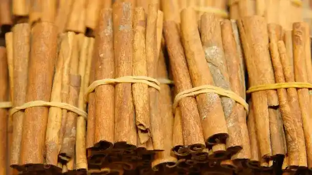 Cinnamon Essential Oil