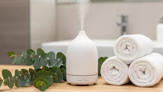 Eucalyptus Diffuser Blend Recipes for the Home