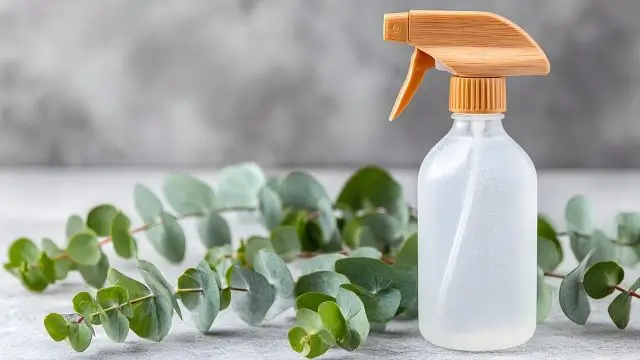 Bottle of Eucalyptus Room Spray with Eucalyptus leaves