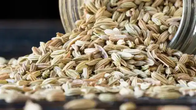 Fennel Essential Oil
