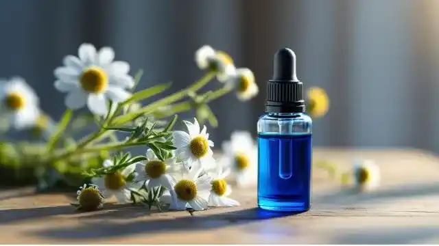 Chamomile German Essential Oil