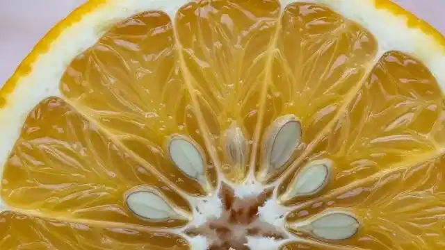 Grapefruit White Essential Oil