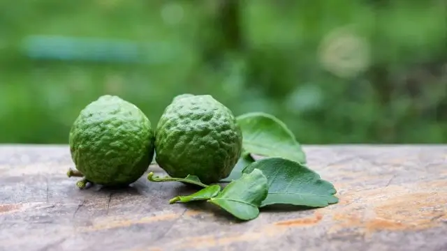 How to Use Bergamot Essential Oil