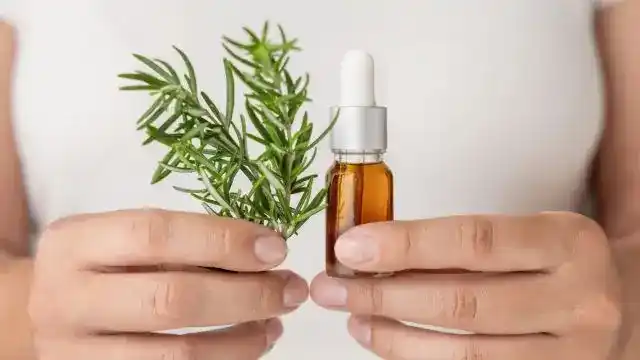 How to Use Rosemary Essential Oil