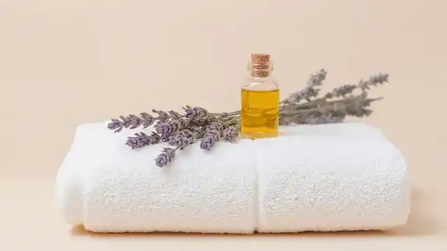 Lavender Massage Oil