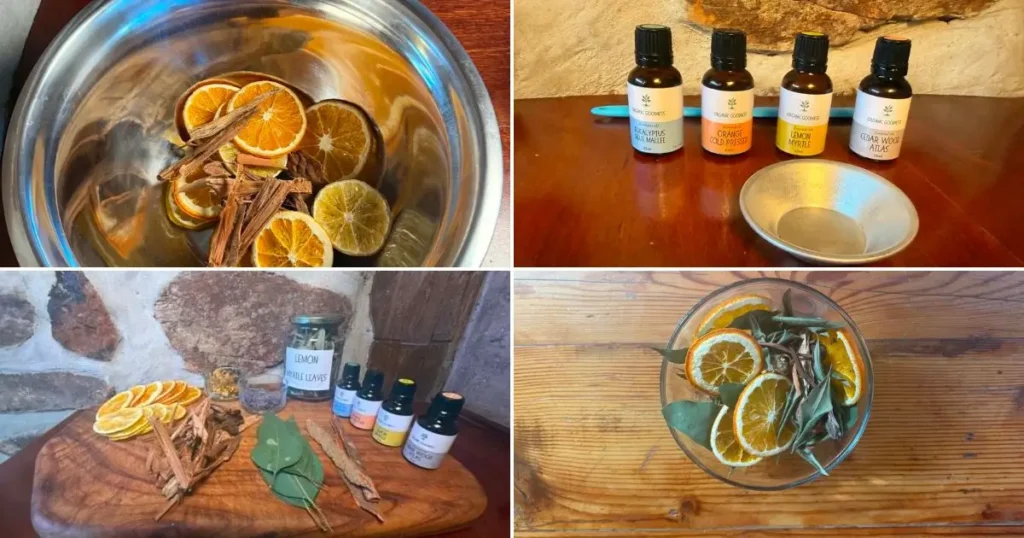 Lemon Myrtle and Eucalyptus Potpourri