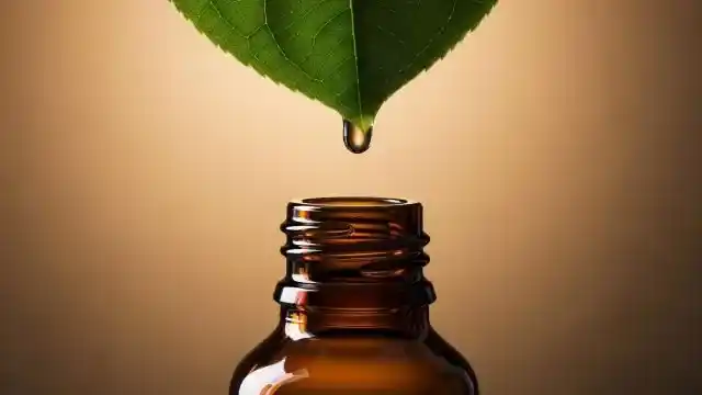Essential Oils for Focus and Mental Clarity