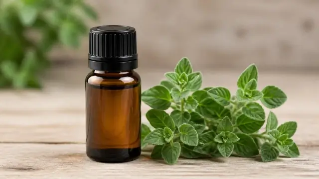 Bottle of Oregano Essential Oil