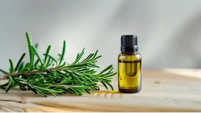 Rosemary Essential Oil