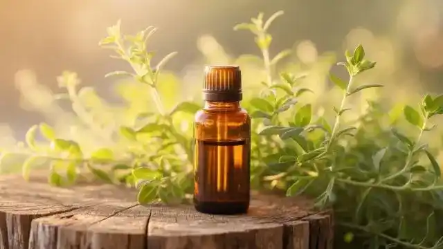 Thyme Essential Oil
