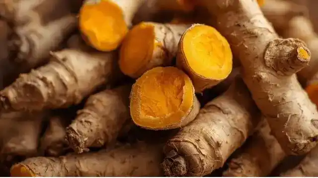 Turmeric