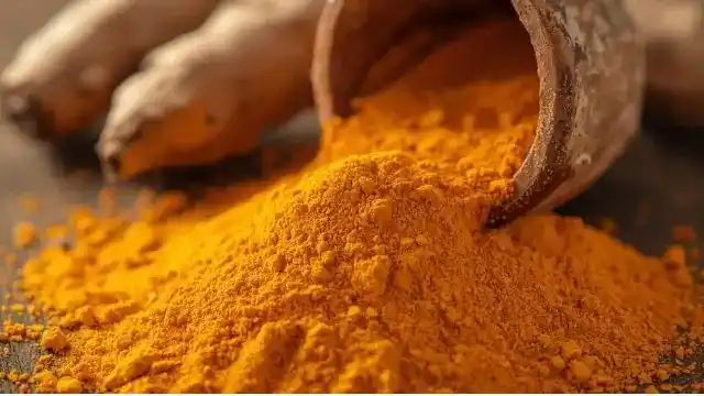 Turmeric Traditional and Medicinal Uses